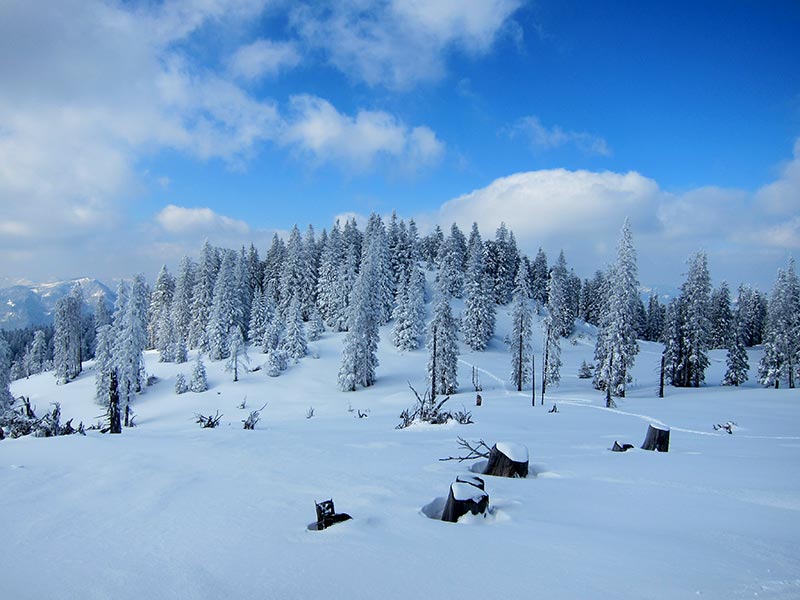 Kuhschneeberg